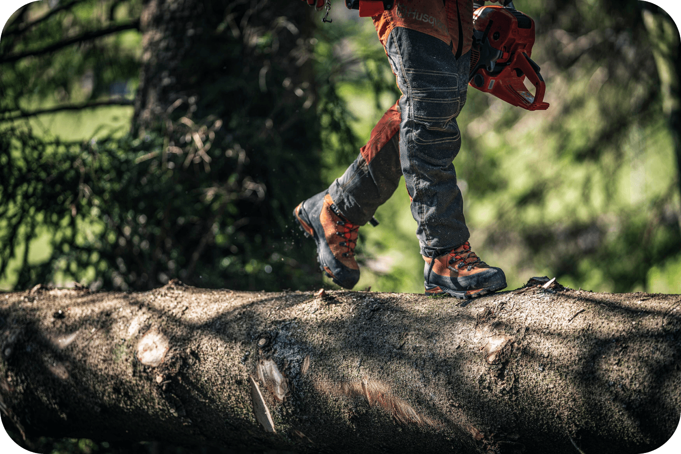 man using chainsaw on large tree log