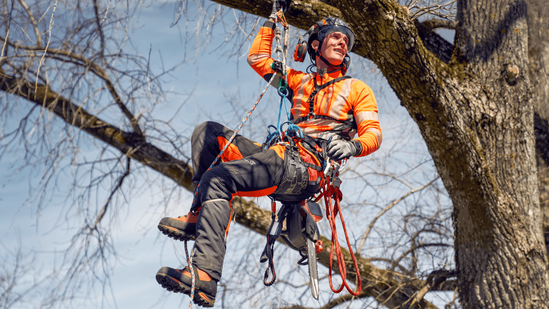 Man wearing range of arborist gear whilst hanging from tree